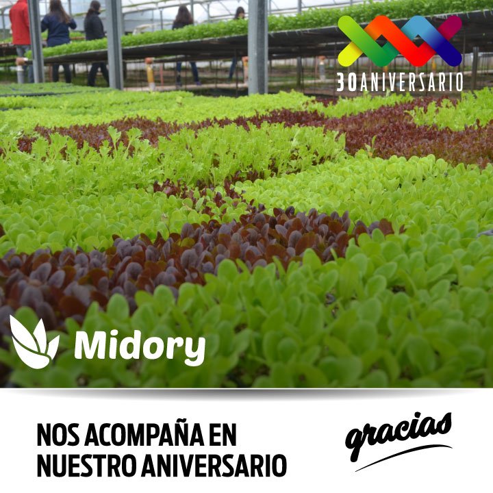 fenaomfra's tweet photo. #4N Celebramos #30años y #Midory #CultivosHidropónicos nos acompaña.
Gracias. #Aniversario #Mercados #Frutihortícolas https://t.co/72HloiJSdC