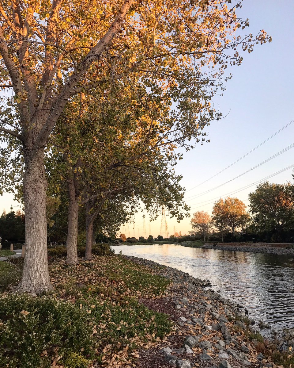 Valerotti's tweet photo. Happy Monday. Beautiful day & weekend in Northern California. #radioroad @audubonsociety @RedwoodCity 🍁🍂🦆 https://t.co/6wnC3RZT6X