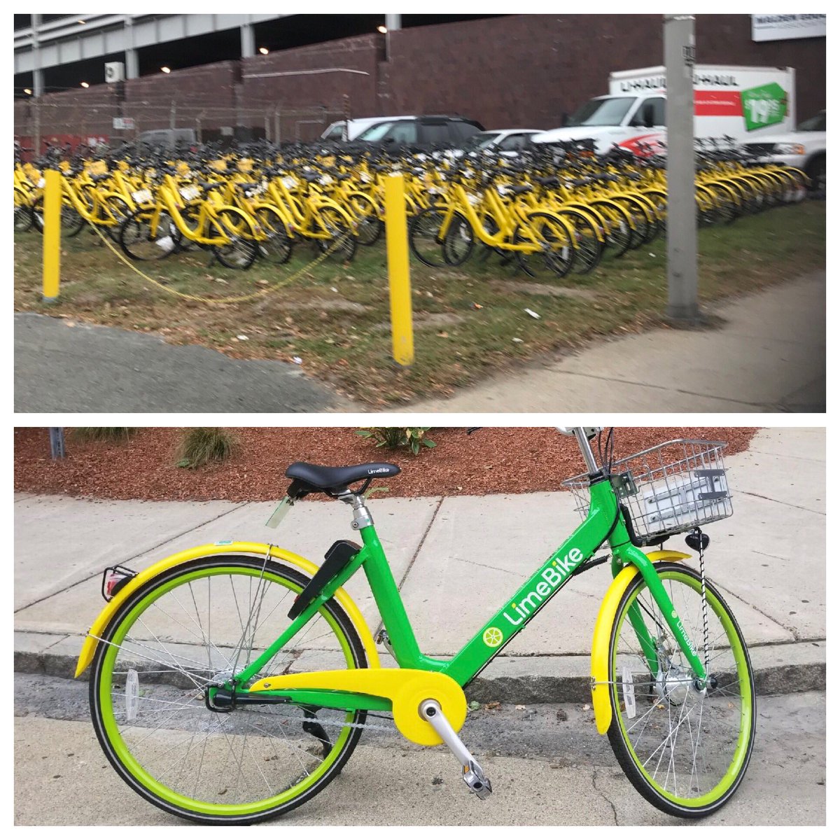 MayorOfMalden's tweet photo. They’re here! Malden welcomes @ofo_bicycle and @limebike aboard. For more info, visit https://t.co/y0imwEVvNO or https://t.co/wmRiMmPhLr. https://t.co/xz3fx59zC0