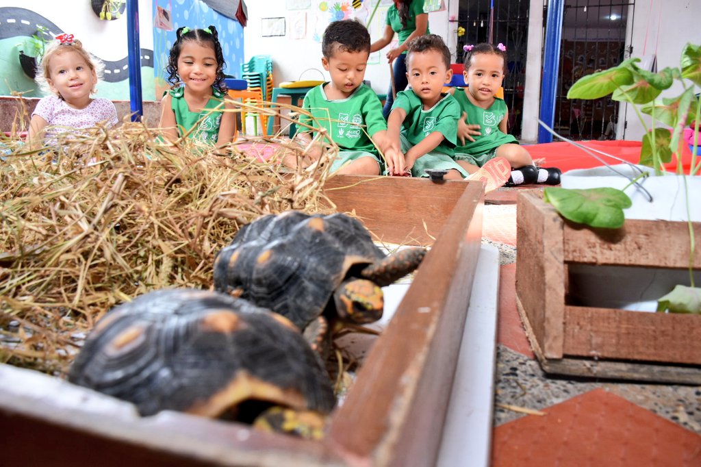 gestionsocialbq's tweet photo. ¡La #CapitalDeVida presente en el mundo con la Primera Infancia!. El CDI San Luis nominado al premio #AlasBid2017 @el_BID @FundTiempoFeliz https://t.co/usxCw6wJmi