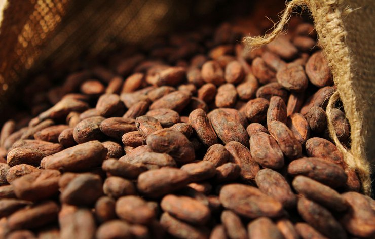 oliverjnieburg's tweet image. Data crunching ahead of #WCFPM - the latest on cocoa ow.ly/KDjK30g4q32 grindings and producer prices ow.ly/LEXh30g4q60
