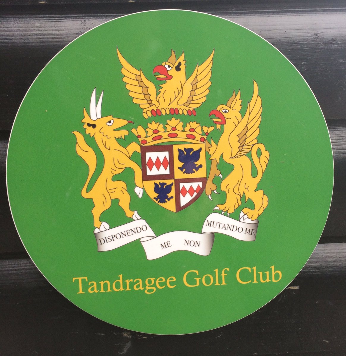 birdietimeapp's tweet photo. As entrances go .. #birdietime on tour #openforplay almost always #motivatedmonday #Day1 #crackingstart #lessons https://t.co/5nqqIRZ9Om