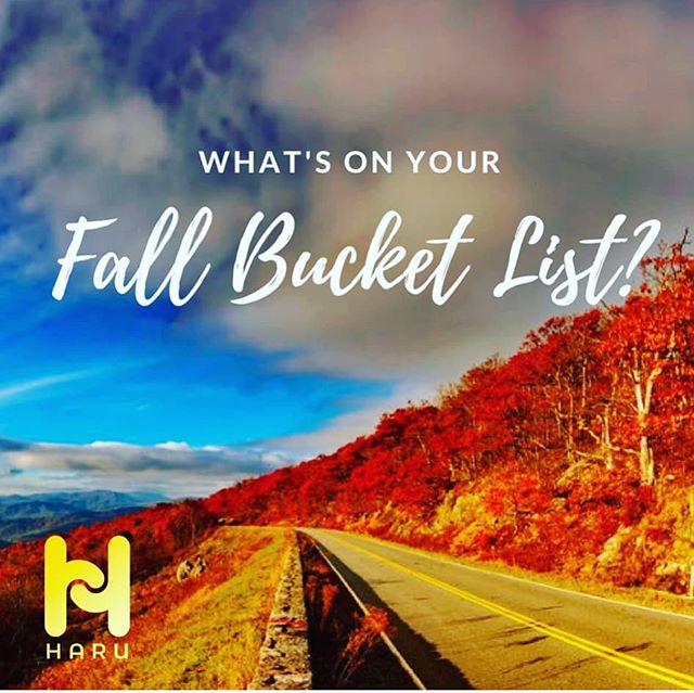 _HaruApp's tweet photo. Scenic drives along the coast? Watching the changing leaves... What's on your #FallBucketList? #HaruApp https://t.co/dK4v3QErJc