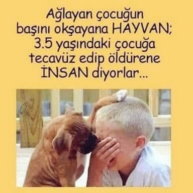 Meselee insan görünmek mi?