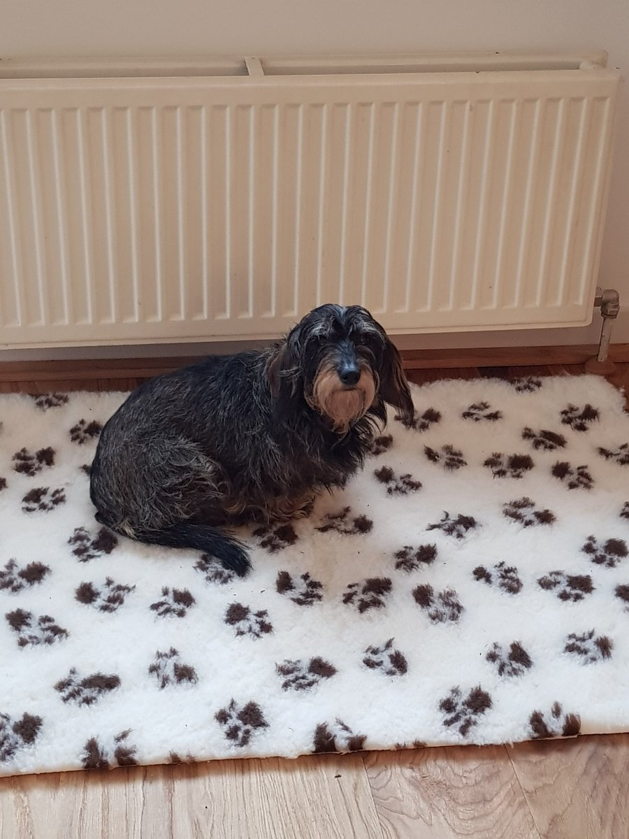 ninatjeloo's tweet photo. @hjwoltersom Overal in huis heeft oma haar plekjes  #oudeteckel https://t.co/A4Q1K1L0UB
