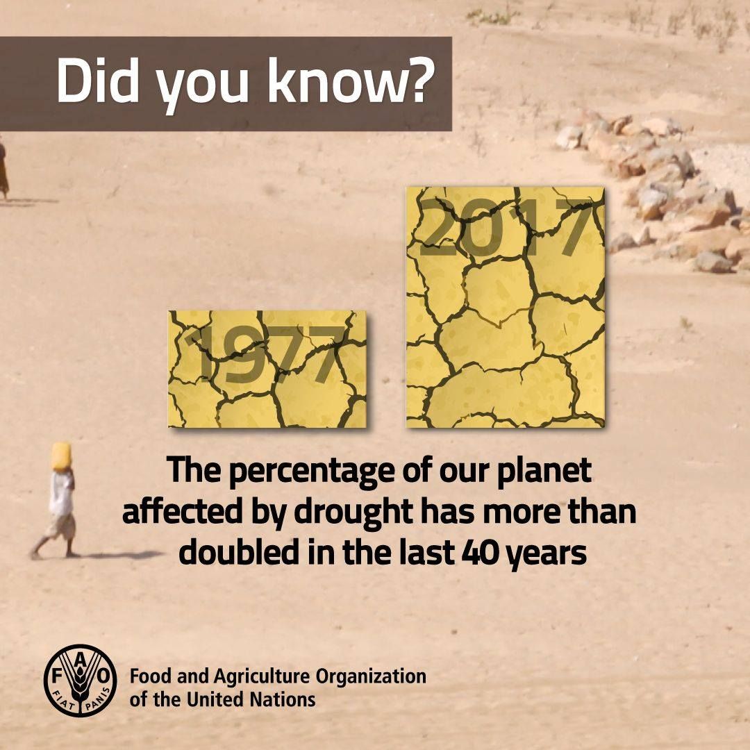 emerge___'s tweet image. Did you know? #climatechange affects everyone @WHO @UN @UNFCCC @UNClimatechange #PreCOP23 @Momentum_UFCCC @UNFAO #UNFA