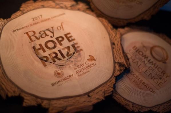 BiomimicryInst's tweet photo. A water mgmt system 4 the future inspired by spiders, plants, bees, fungi- 2017 #RayofHopePrize winners: https://t.co/fsbrcCB5md #biomimicry https://t.co/zCscBDRCrE