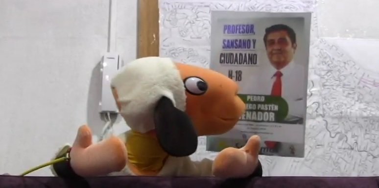 AmplitudChile's tweet photo. Al estilo #31minutos: Con títeres candidato a senador de @AmplitudChile @psariegop da a conocer sus propuestas ,https://t.co/tGB1Ias5rP https://t.co/MtLa1ZM3HQ