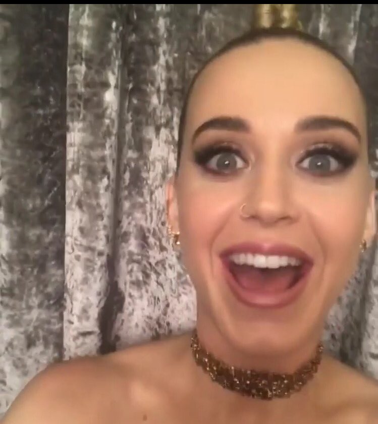 nekocam_'s tweet photo. look at this precious ball of happiness https://t.co/2Dsfwrs88h