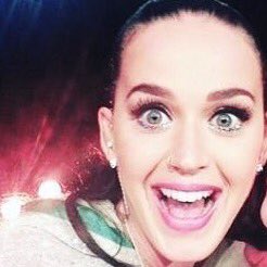 nekocam_'s tweet photo. look at this precious ball of happiness https://t.co/2Dsfwrs88h