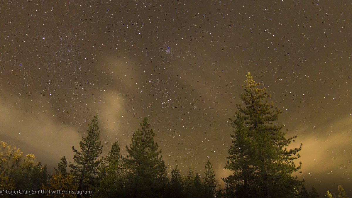 RogerCraigSmith's tweet photo. “Free Shows Nightly!”

Make it a point to get outta the light pollution every now and then. Makes the grind of whatever you’re trying to accomplish under those polluted skies a little easier to tackle.

I hope you can make it happen.

#MondayMotivation
#GetOutLookUp https://t.co/GdyZarOb6y
