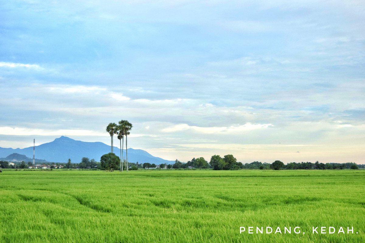 markotiger11's tweet photo. Dalam banyak2 tempat, suasana kampung sendiri juga jadi pilihan hati.
Pendang, Kedah.
#cwcontest2017 #sayangmalaysia #citrawarnakl2017 https://t.co/eiemUZYRaR