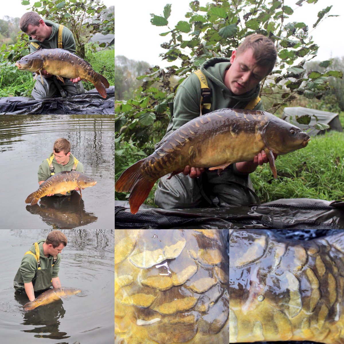 DannyJono's tweet photo. 22lb mirror and was caught on Northen banx crank offset size 6 hook and northen baits boilies🎣@NorthernBanx @NorthernBaits #bnb #crankoffset https://t.co/dq1YFScjLB