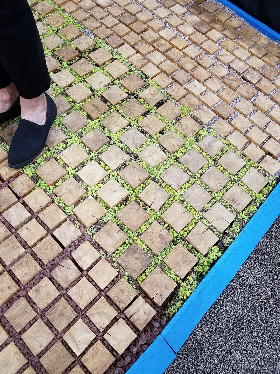 JoyKuebler's tweet photo. @BlackLocustL loved loved loved your black locust pavers at #ASLA2017 EXPO Floor yesterday! Thanks for chatting! https://t.co/c4TOF5BI8c