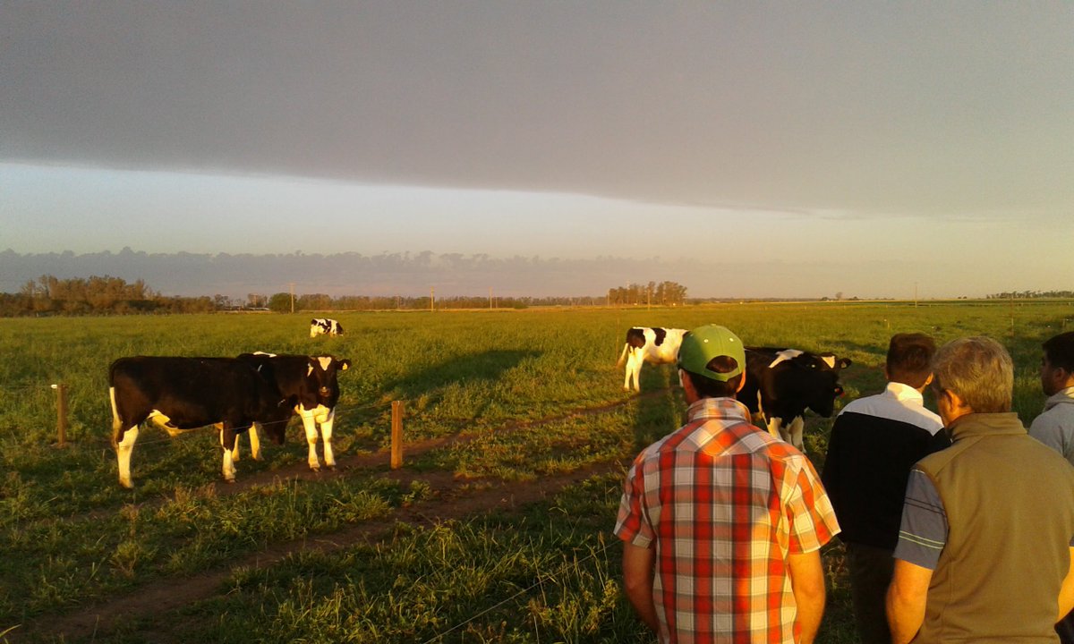 INTA Marcos Juárez tweet media