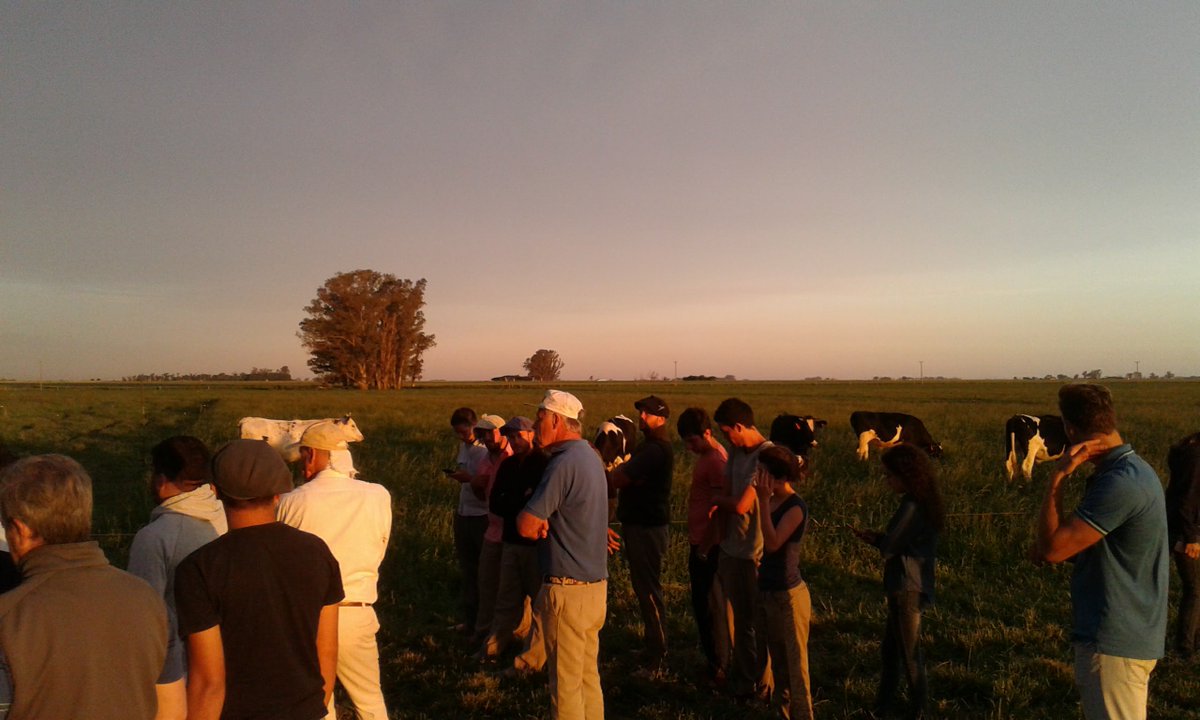 INTA Marcos Juárez tweet media