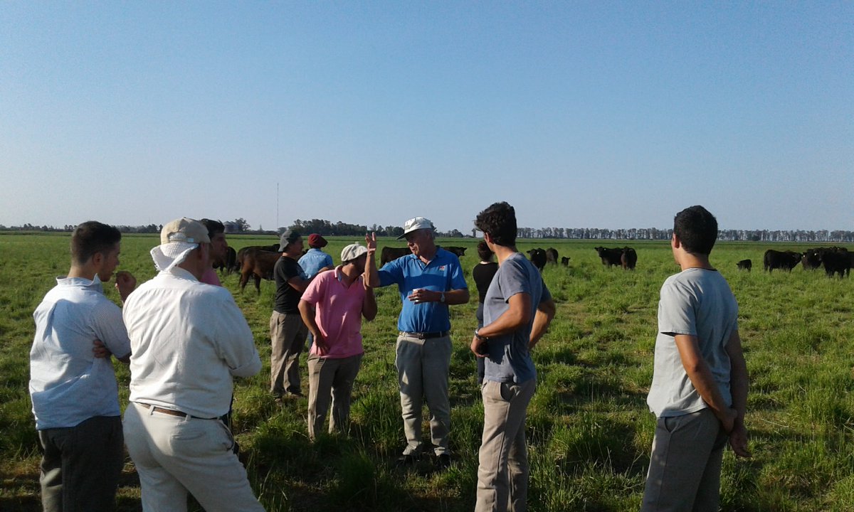 Alumnos de la UNSL visitaron el INTA MJ, aquí recorriendo módulos de invernada intensiva y ensayos de engorde de novillos Holando.