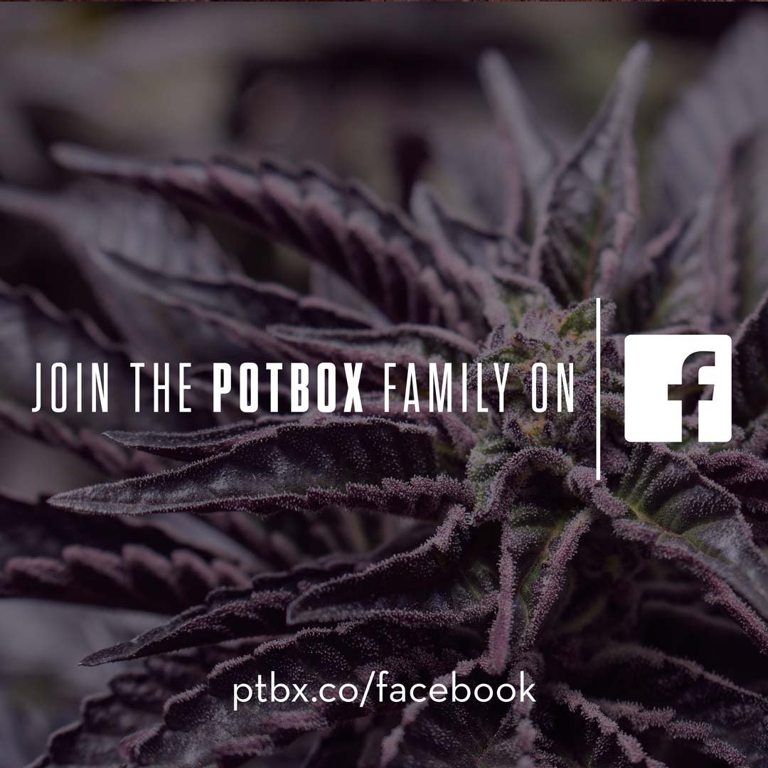 If you haven't already, join our family on Facebook! - ptbx.co/facebook #mmj #sf #la