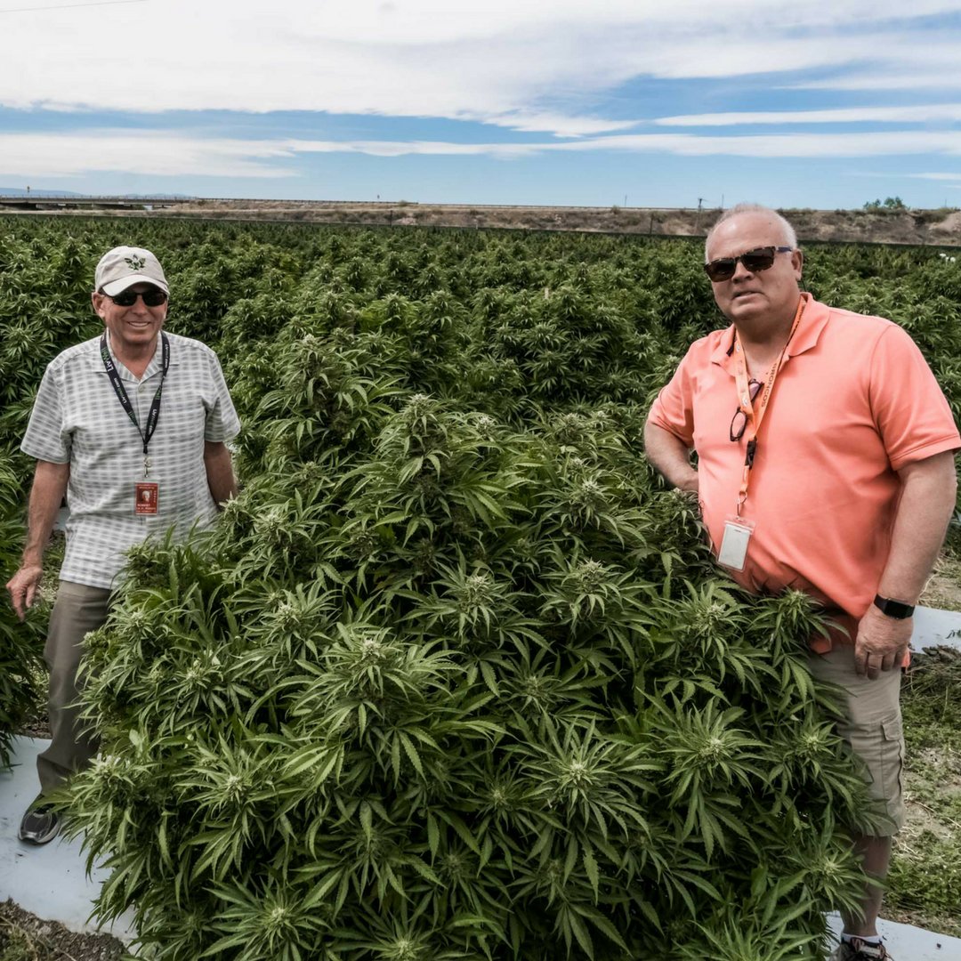 Happy #ManCrushMonday to <a href="/LosSuenosFarms/">Los Suenos Farms</a> owners, Bob and Jim!

#mcm #MotivationMonday #lossuenosfarms #sungrown #marijuana #legalweed