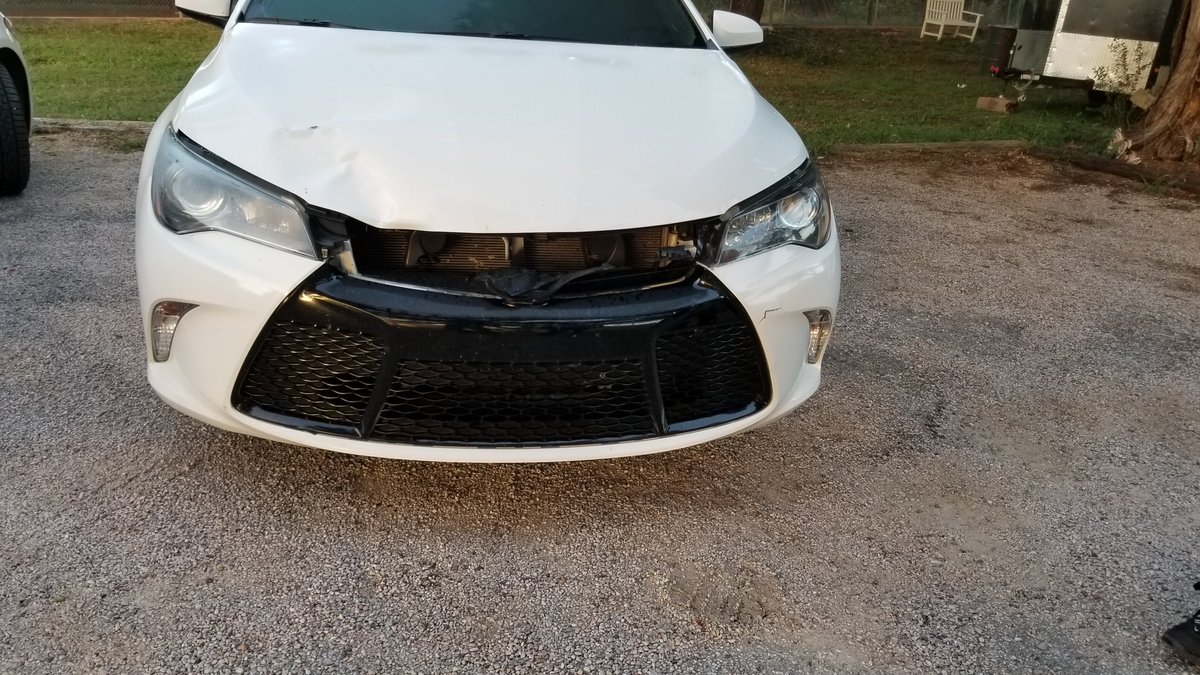 frostedjunk's tweet photo. Thank you @Toyota for keeping my family safe. Deer vs Camry, Camry came out the winner! Still runs and drives just fine. https://t.co/bmlNRy6E2Q