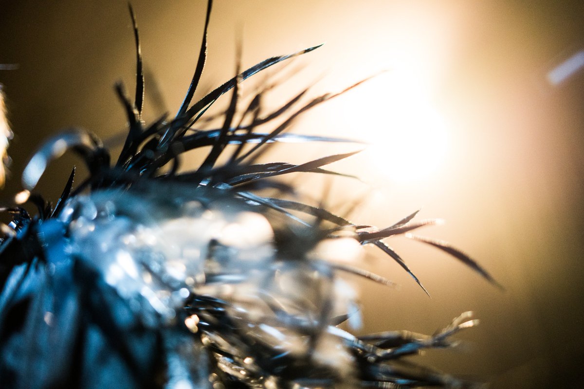 Mads Damsbo tweet media