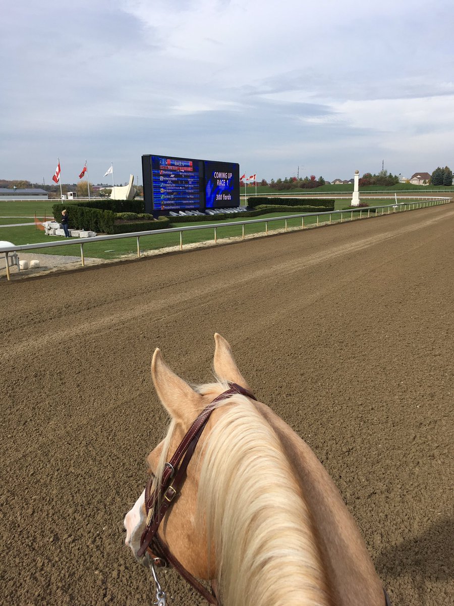 stephkeeble's tweet photo. Second last race day @AjaxDowns come on out!! #farmersmarketmonday https://t.co/p60OKFAeRW