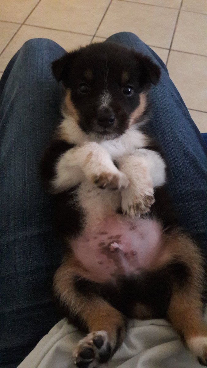 HeaterParker's tweet photo. Such cute https://t.co/aLPILAbNKV