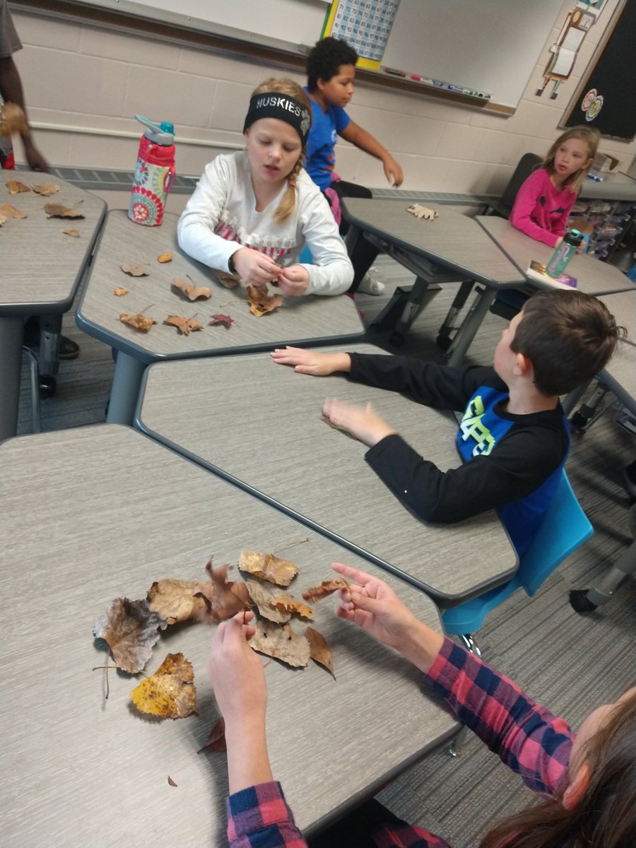dani_rypka's tweet photo. Tried a new #ecotime game called "Find that Leaf" to jump start our investigation into leaves today in 4B @StemMcKinley @McKinley4th https://t.co/MOXdXZXeda