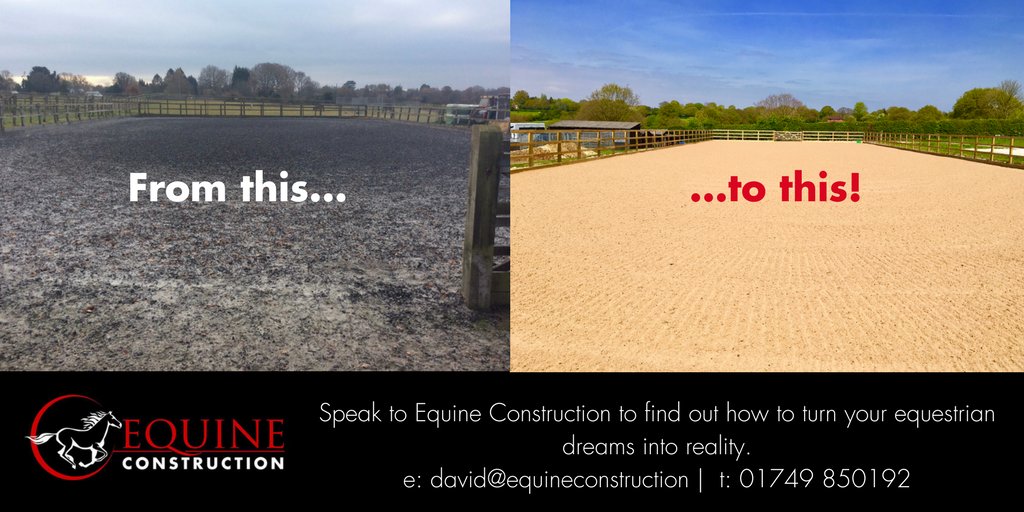 Equine Construction tweet media
