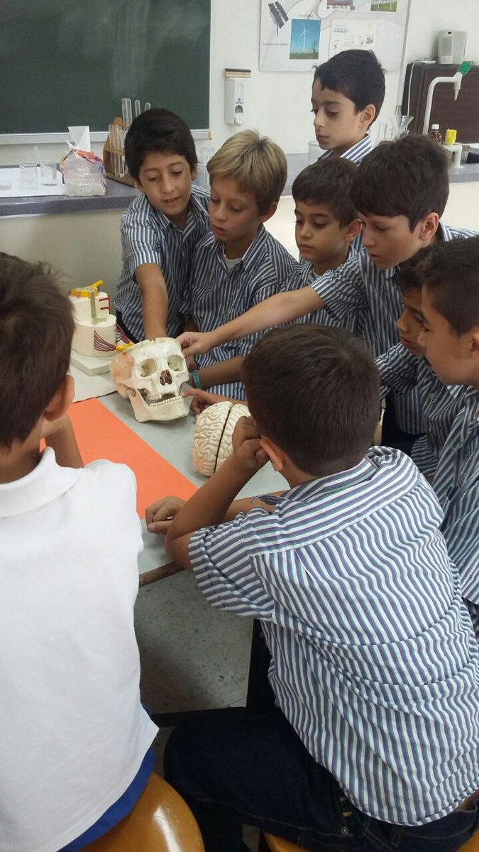 RHHS_Elementary's tweet photo. Grade 4: Brain Dissection #brain #learning_differently #form_function https://t.co/WVKvyw7Tj8
