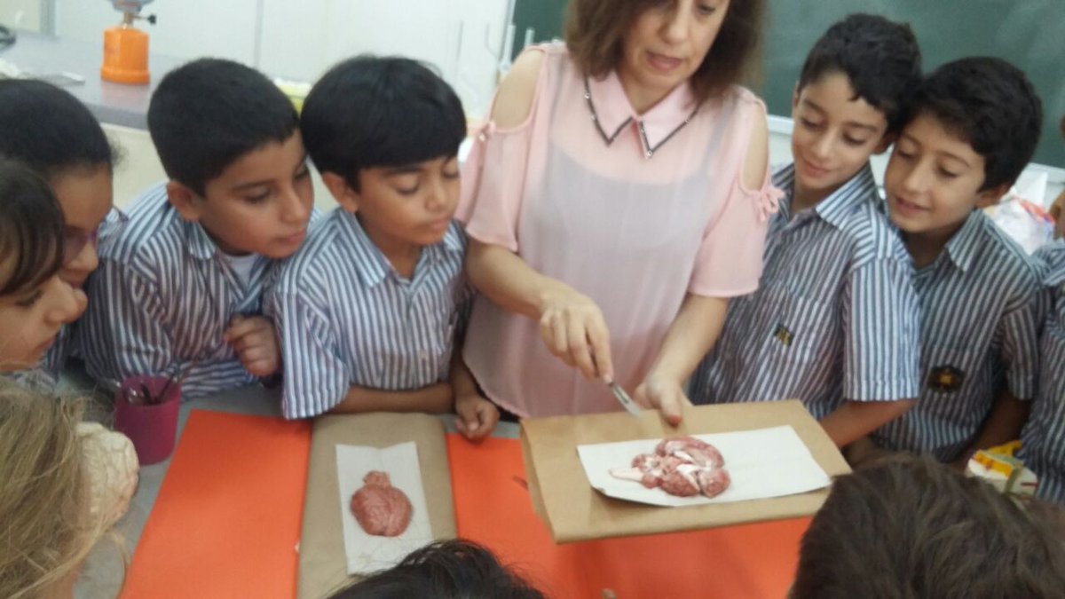 RHHS_Elementary's tweet photo. Grade 4: Brain Dissection #brain #learning_differently #form_function https://t.co/WVKvyw7Tj8