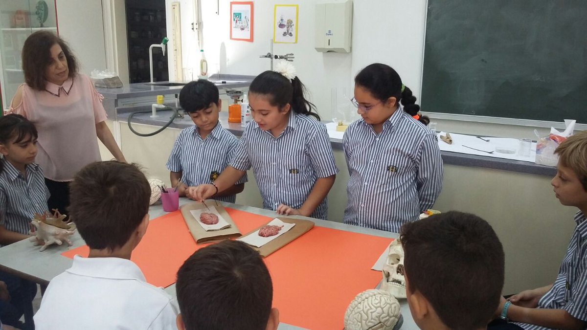 RHHS_Elementary's tweet photo. Grade 4: Brain Dissection #brain #learning_differently #form_function https://t.co/WVKvyw7Tj8