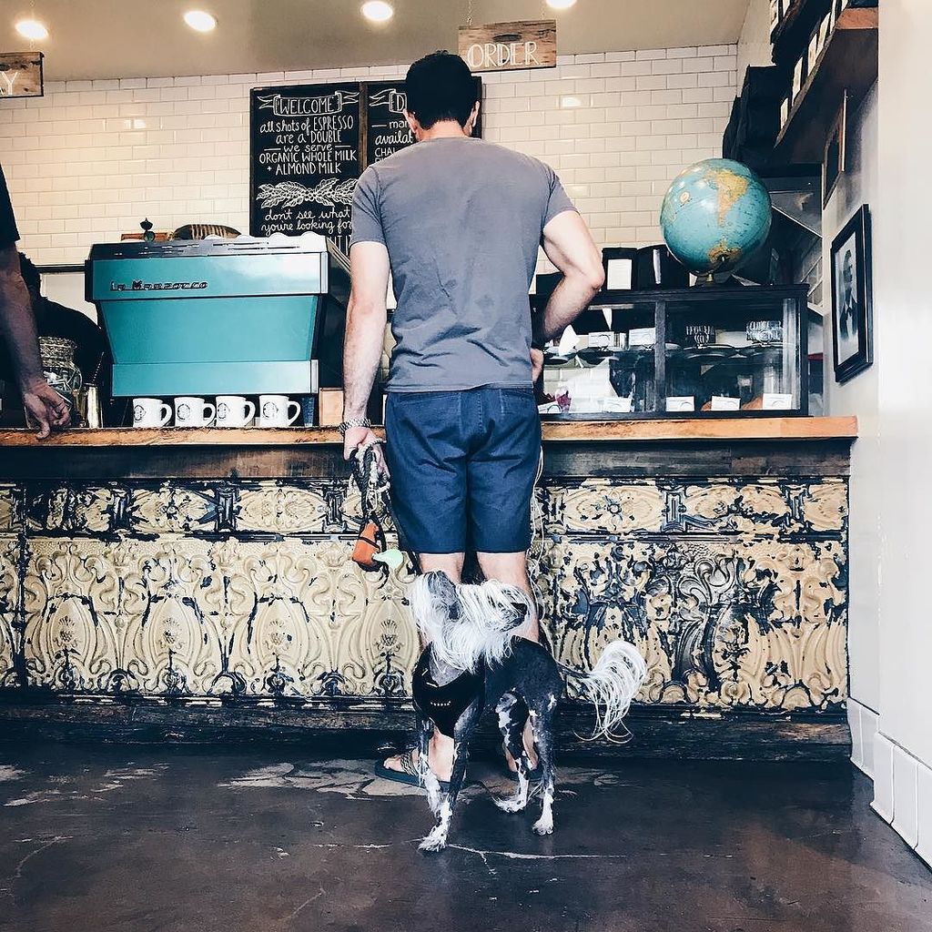 Menottis's tweet photo. Monday with our #MenottisMutts the best ฿Ƀ ☕️❤️☕️ #Menottis https://t.co/y3MdlmpBcQ