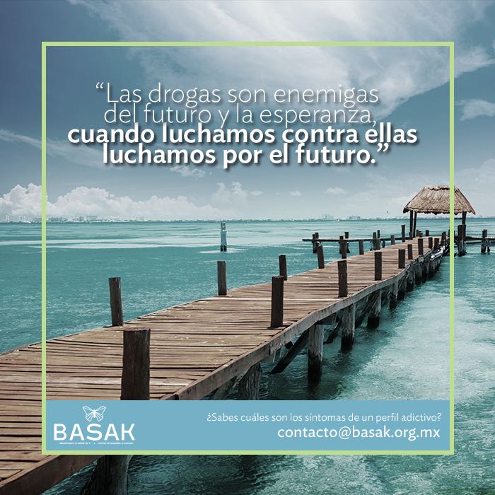 Fundación BASAK tweet media