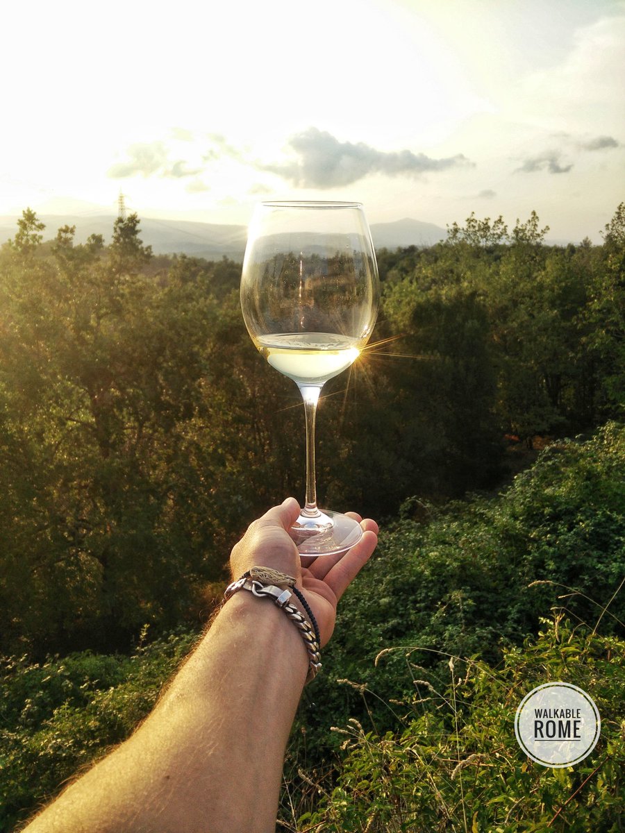 "The juice of the grape is the liquid quintessence of concentrated sunbeams."🍷
~ Thomas Love Peacock
 
#WalkableRome #ItalianPlaces #Wine