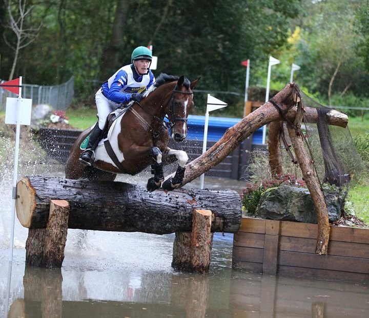 PegusHorseFeed's tweet photo. Fed on Horsehealth Seavaghan Ash finished @militaryboekelo with a heart rate @ 100 amazing the vet #feedthatperforms https://t.co/Hn37Nsb7Ik