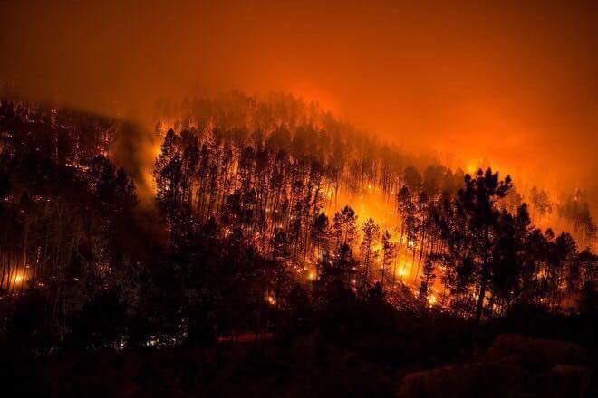 JoseJuanatey's tweet photo. #ArdeGaliza un día más sin conocer los responsables de la catástrofe ecológica de Galiza! No tenemos quien nos defienda! #helpgalicia https://t.co/jHIR3Fp7Aa