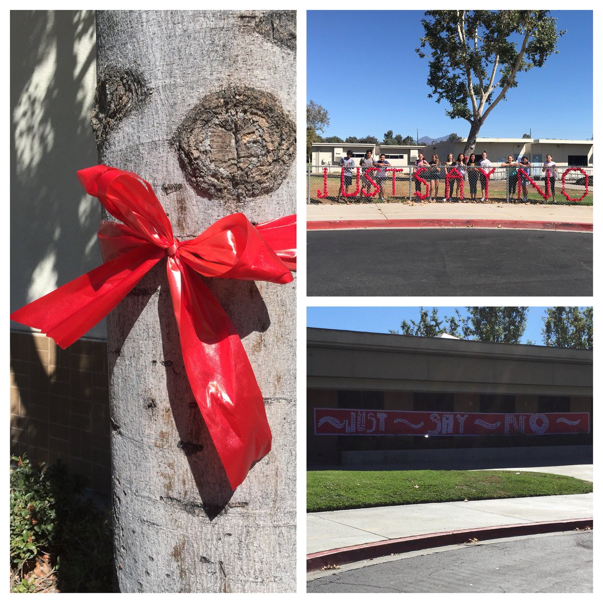 AvmsFalcons's tweet photo. Just Say No! #studentpledges #PAL #redribbonweek2017 #infocus @AvmsFalcons @SteinertCUSD https://t.co/h3lFLD6O4j