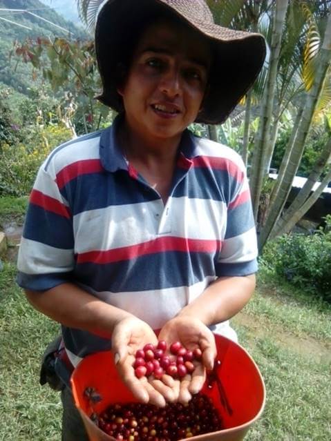 CoffeeCoMission's tweet photo. What's your #MondayMotivation ? Ours are our #farmers, our network of #roasters, the #environment, and honesty in trade. #TradeHonestly #coffeeroaster #coffeeroasters #greenbeans #coffeelover #espresso #espressoyourself https://t.co/aIZKvMTGde