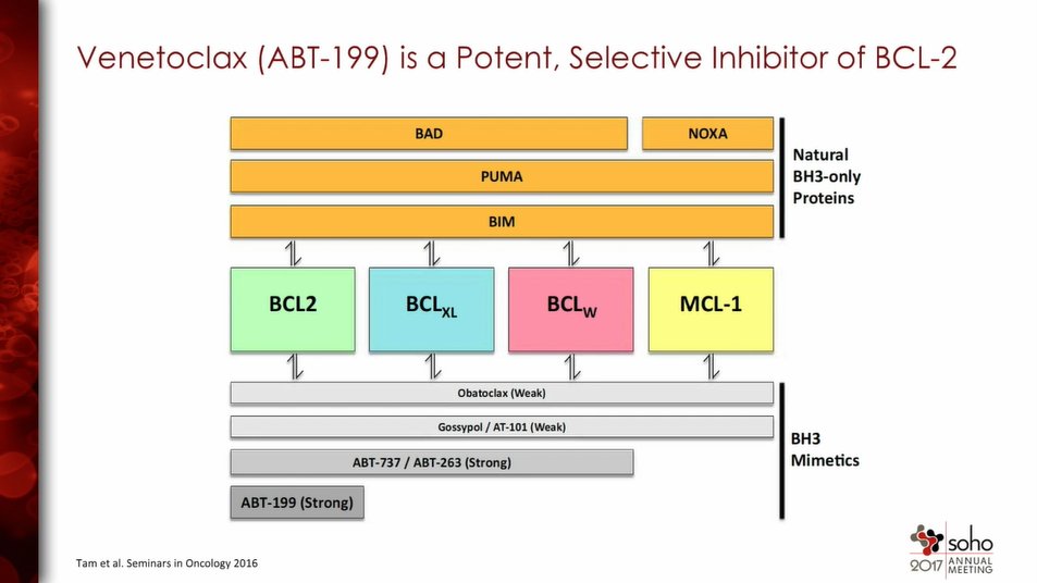 MinuteCE's tweet photo. Dr. Pollyea presents BCL-2 Inhibition in AML at #SOHO17. View here https://t.co/RJFeJS3KmJ #AMLOntheGo @SocietyofHemOnc #bloodcancer #meded https://t.co/aqxIizG6SY