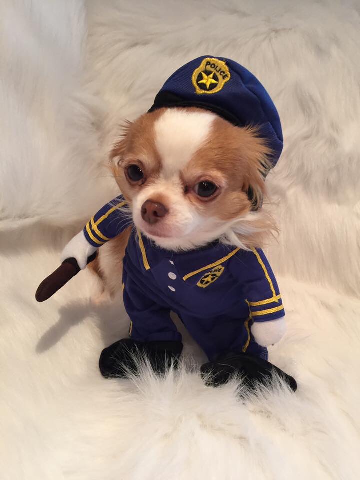 Officer Sage here...Monday is under arrest for public disturbance