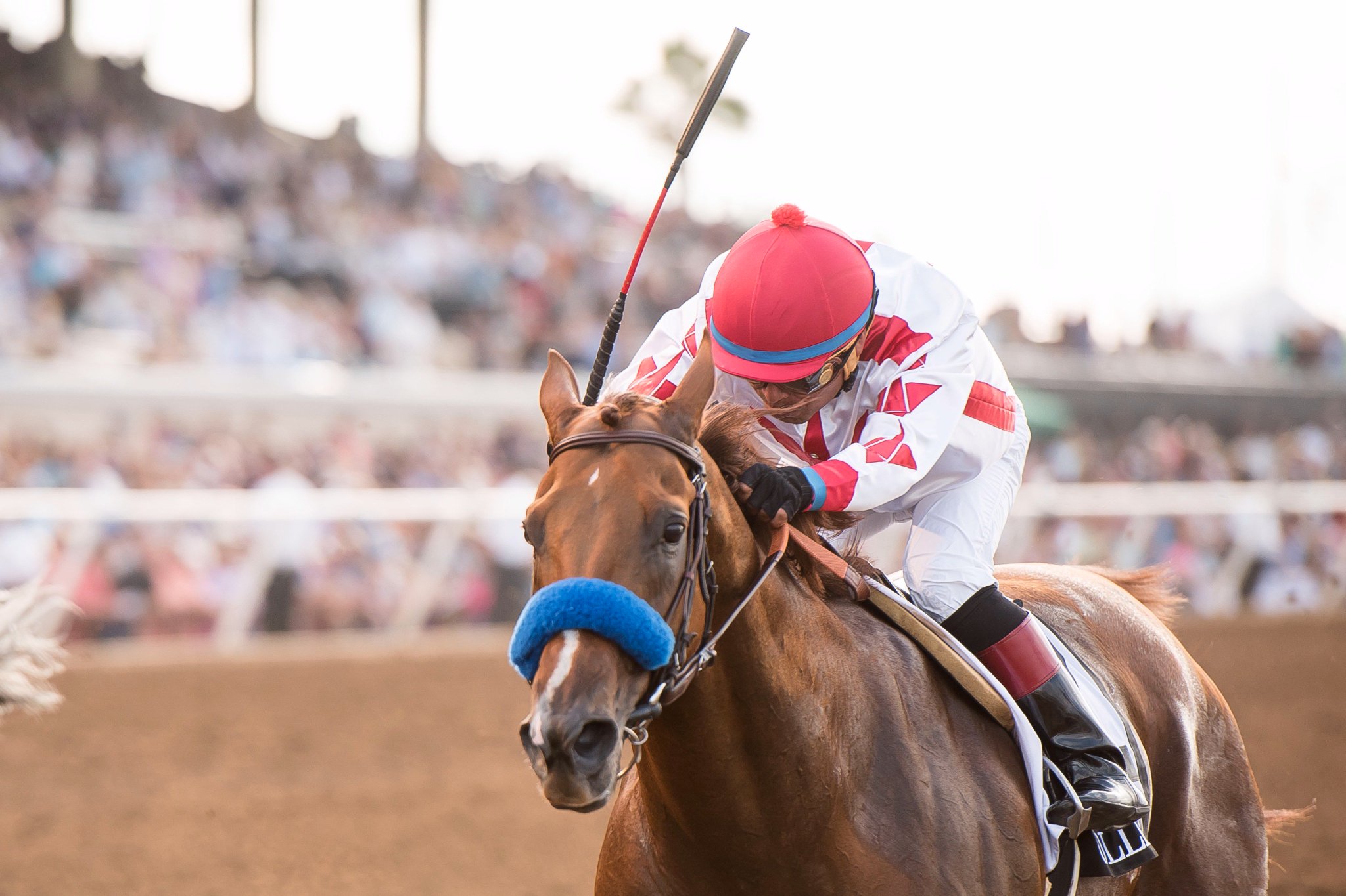 Happy birthday to jockey Martin Garcia!  