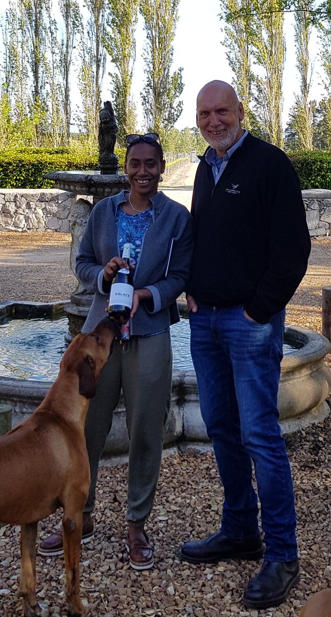 IonaWines's tweet photo. Wonderful to see Chloe again from @Platform_1ldn even Haggis our #ridgeback got into the action https://t.co/OuFMunInFs