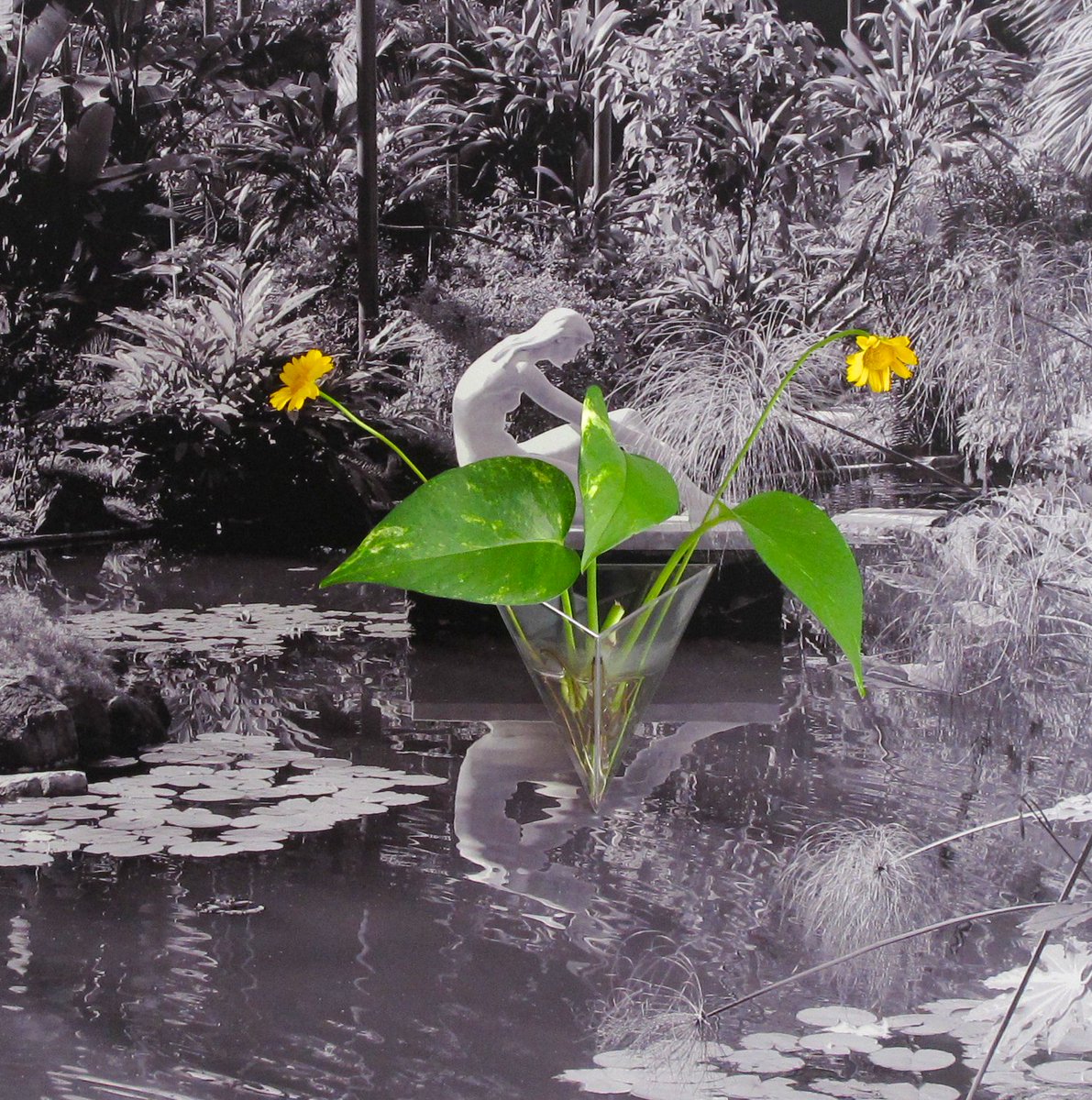 bionicphoto's tweet photo. BIONIC PHOTO - GARDEN UTOPIA https://t.co/aCw9sAqK76 #BIONIC #PHOTO #FOTOGRAFIA #BIONICA #BIONICART #BIOMIMETIC #DESIGN #UTOPIA #ART #ARTE https://t.co/fyL1qeUYuJ