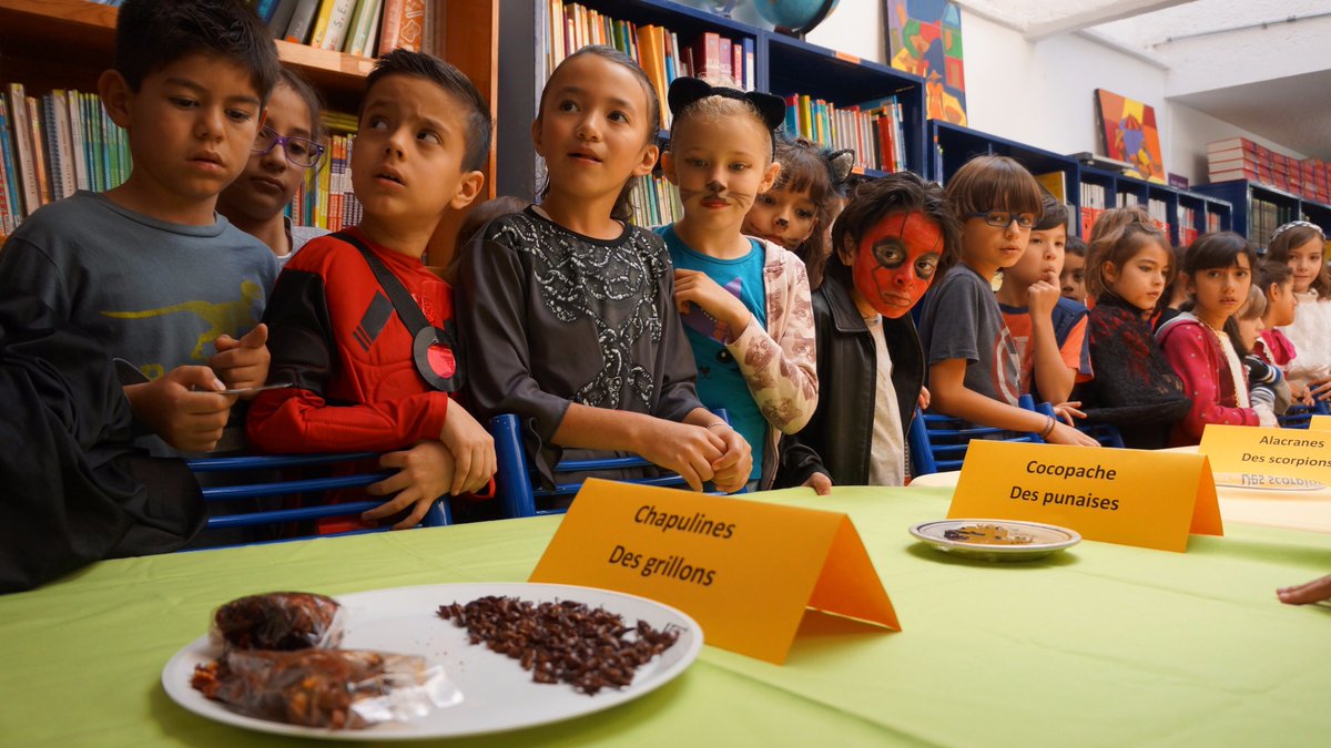 LiceoFrancoMx's tweet photo. Etude des insectes utilisés dans la cuisine préhispanique. Présentation des insectes, recollection traditionnelle. #legout2017 https://t.co/4Ra2oznvzx