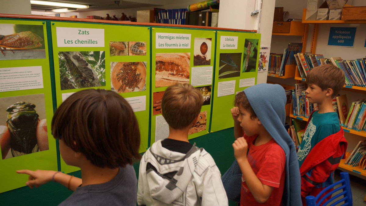 LiceoFrancoMx's tweet photo. Etude des insectes utilisés dans la cuisine préhispanique. Présentation des insectes, recollection traditionnelle. #legout2017 https://t.co/4Ra2oznvzx