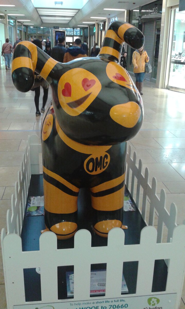 tiggi7's tweet photo. In Cardiff spotting Snowdogs! @SnowdogsWales @enfysthesnowdog @OMGSnowdog #Sparky &amp; friends! More to see tomorrow 🐾🐕💕 https://t.co/Txqv7HTIhH