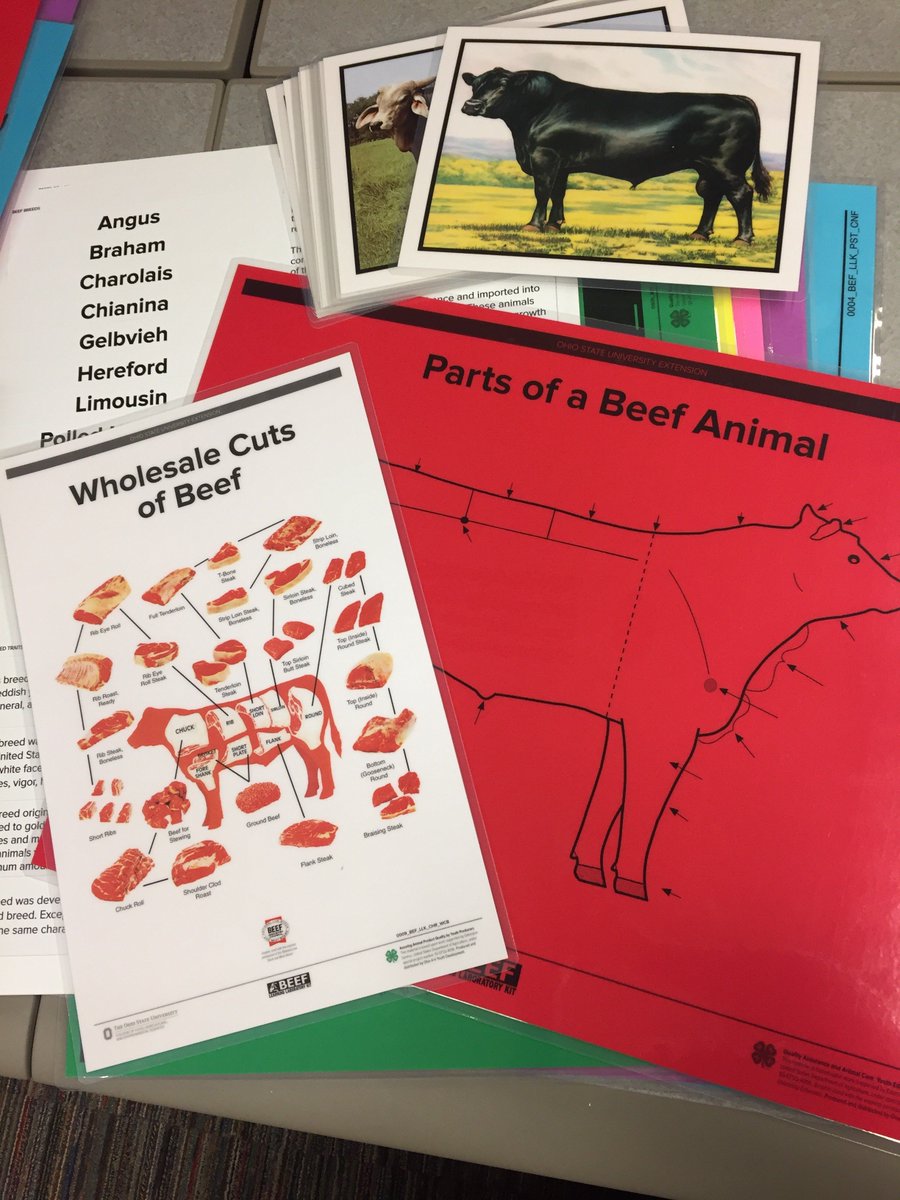 learninglabkits's tweet photo. We'll be at the @ohio4h Professionals' Update Oct. 24 w/ some #LearningLabKits materials! (For more Beef Kit info: https://t.co/RUk1rYRBmQ)🍀 https://t.co/CVWxyLLndb
