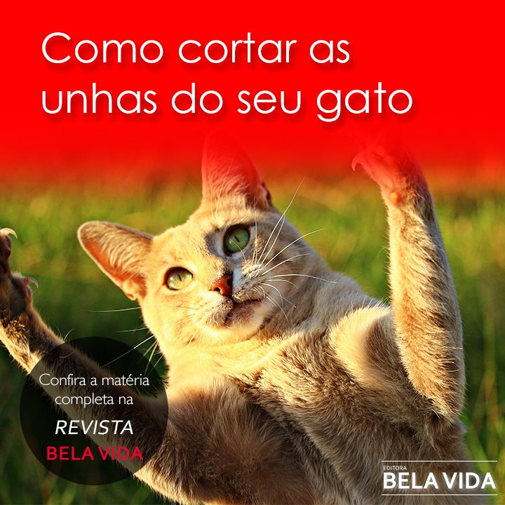 BelaVidaEditora's tweet photo. Essa dica e muito mais nos Almanaques Bela Vida: https://t.co/KZOhggrw0N https://t.co/H4uId8DooP