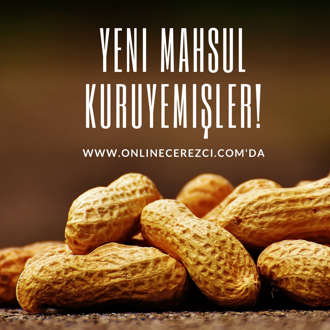 ugurcerez's tweet photo. Yeni mahsul ürünlerimize sitemizden uygun fiyata erişebilirsiniz!#kuruyemiş #bursa #istanbul #organik #atıştırmalık #sağlıklıbeslenme https://t.co/KsrPx64LbG